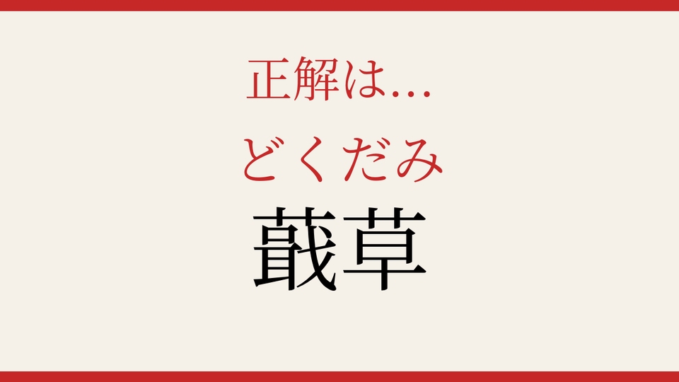 正解画像