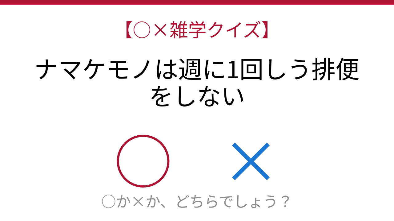 【○×雑学クイズ】これ本当？ナマケモノの驚きの排便習慣