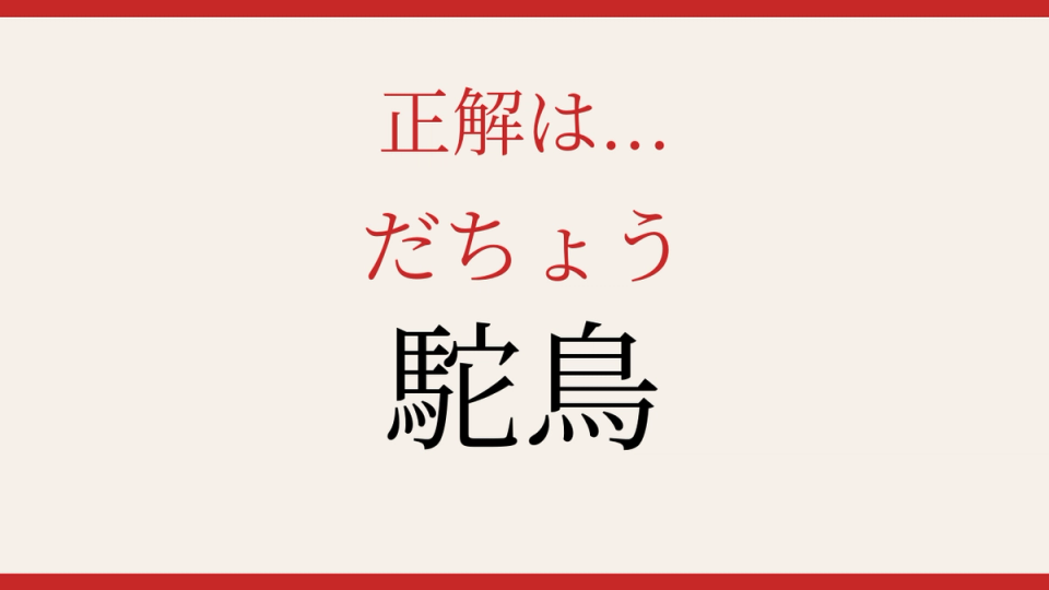 正解画像