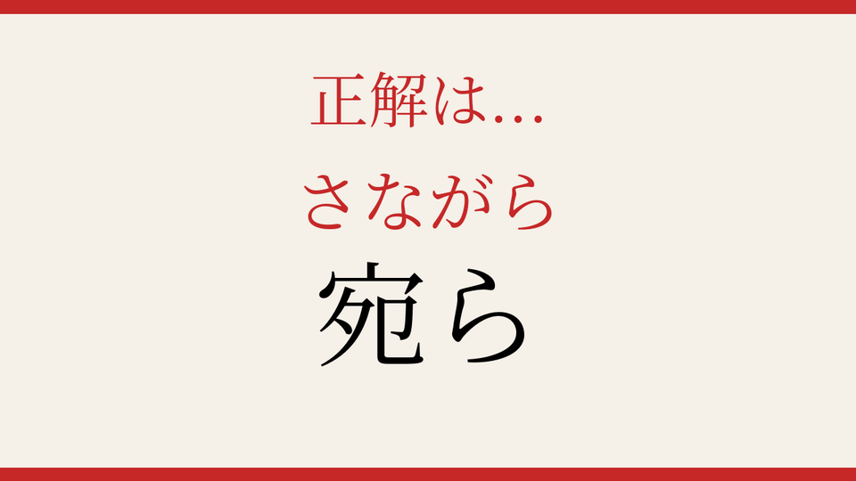 正解画像
