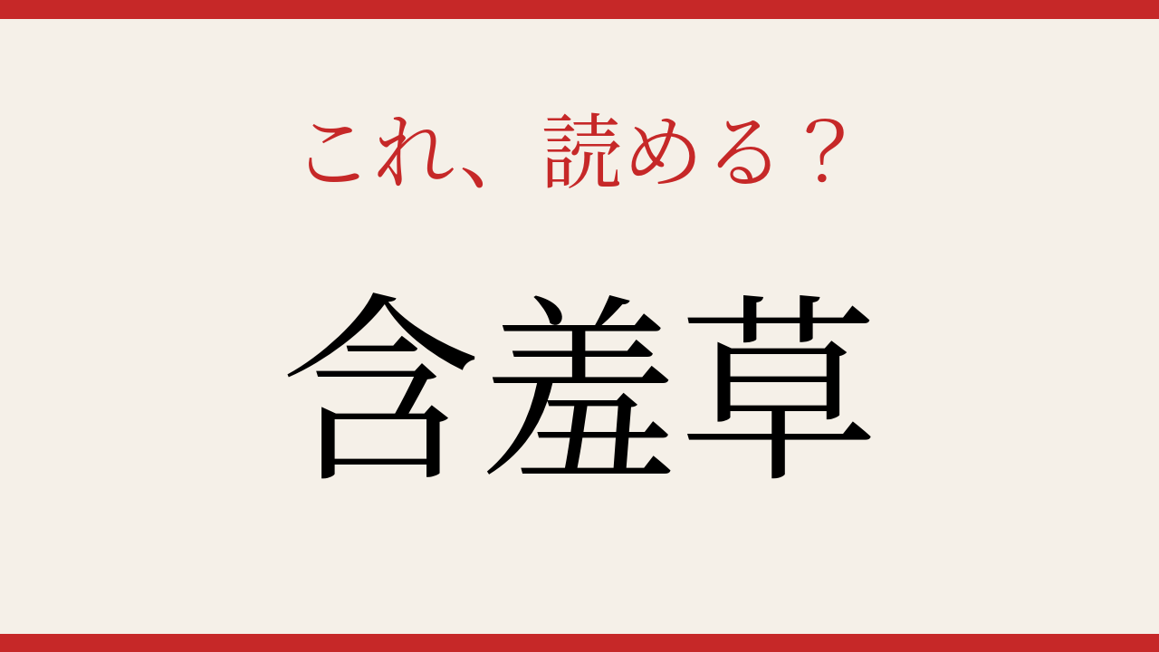 【難読漢字】読み間違いに注意！触れると動く植物の名前