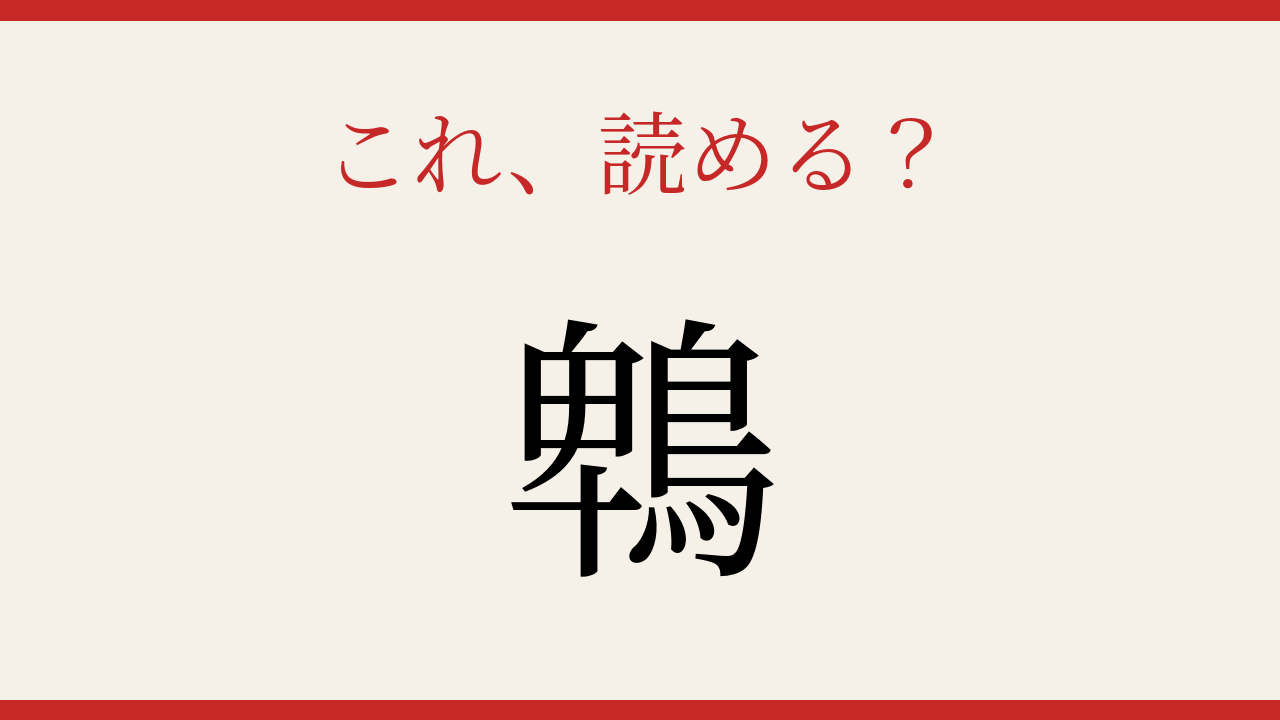 【難読漢字】大人の漢字力チェック！野鳥の名前に隠された意外な文字