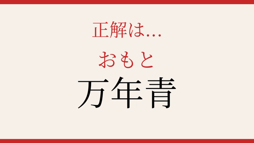 正解画像