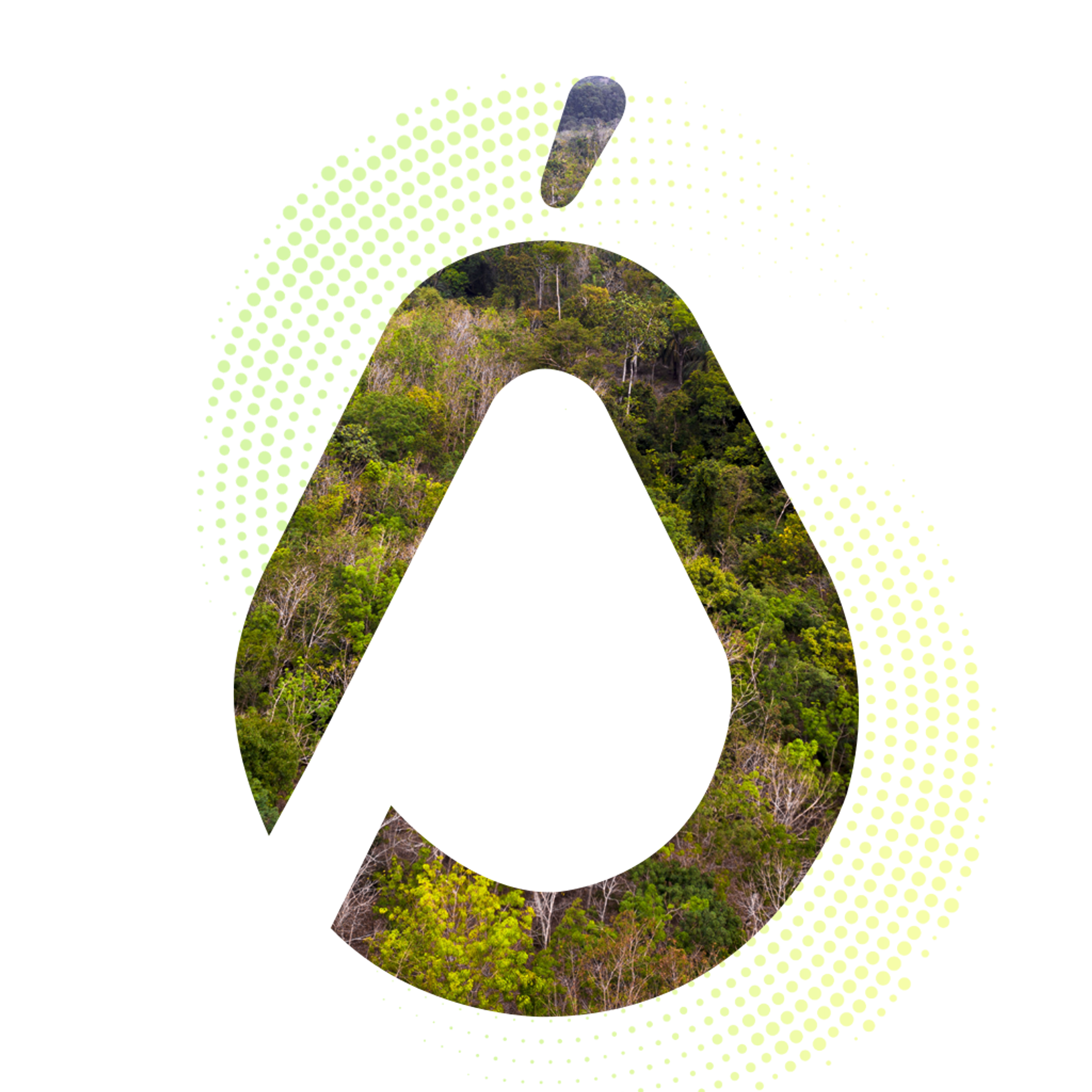 Pear icon symbolising caring for the environment
