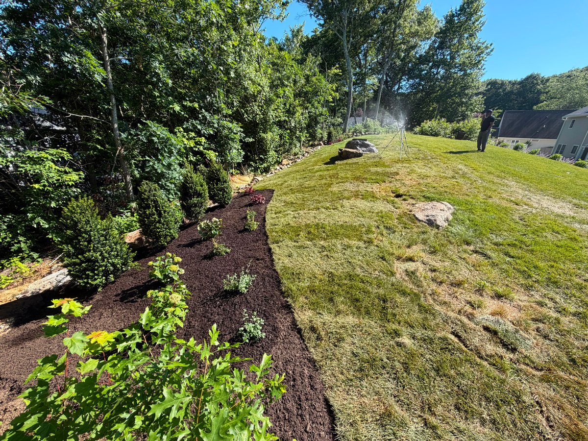 Fresh Mulch Bed & New Planting Installation