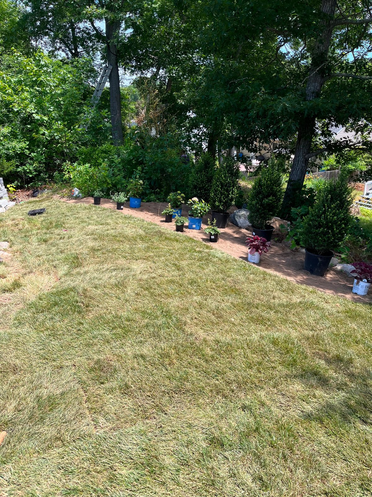 New Planting Installation — Plants Staged