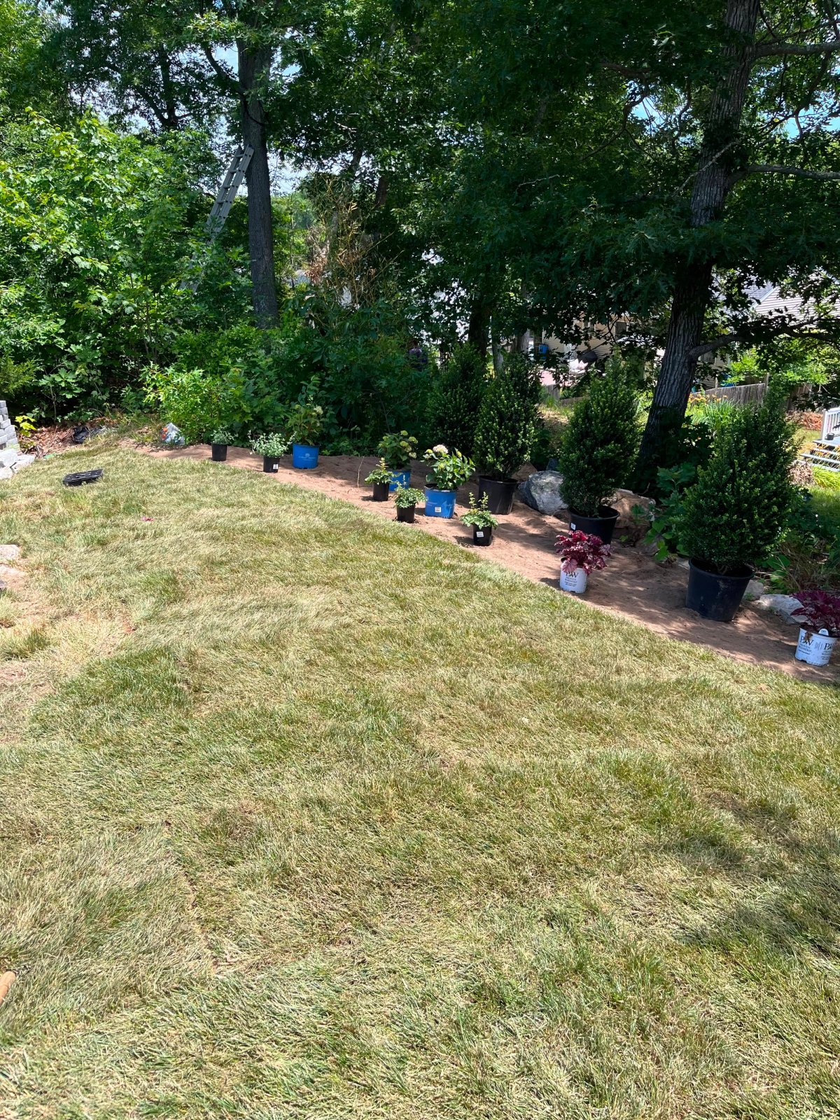 New Planting Installation — Plants Staged