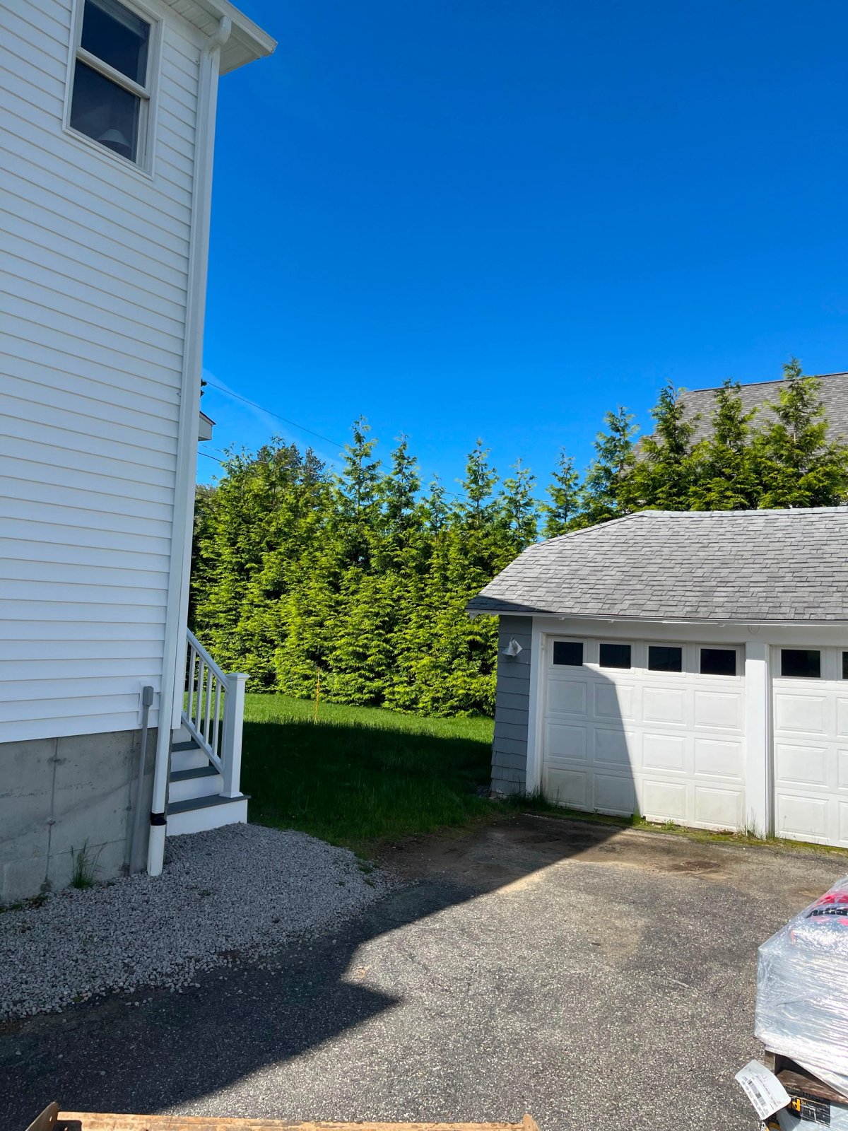 Arborvitae Privacy Screen Along Property Line