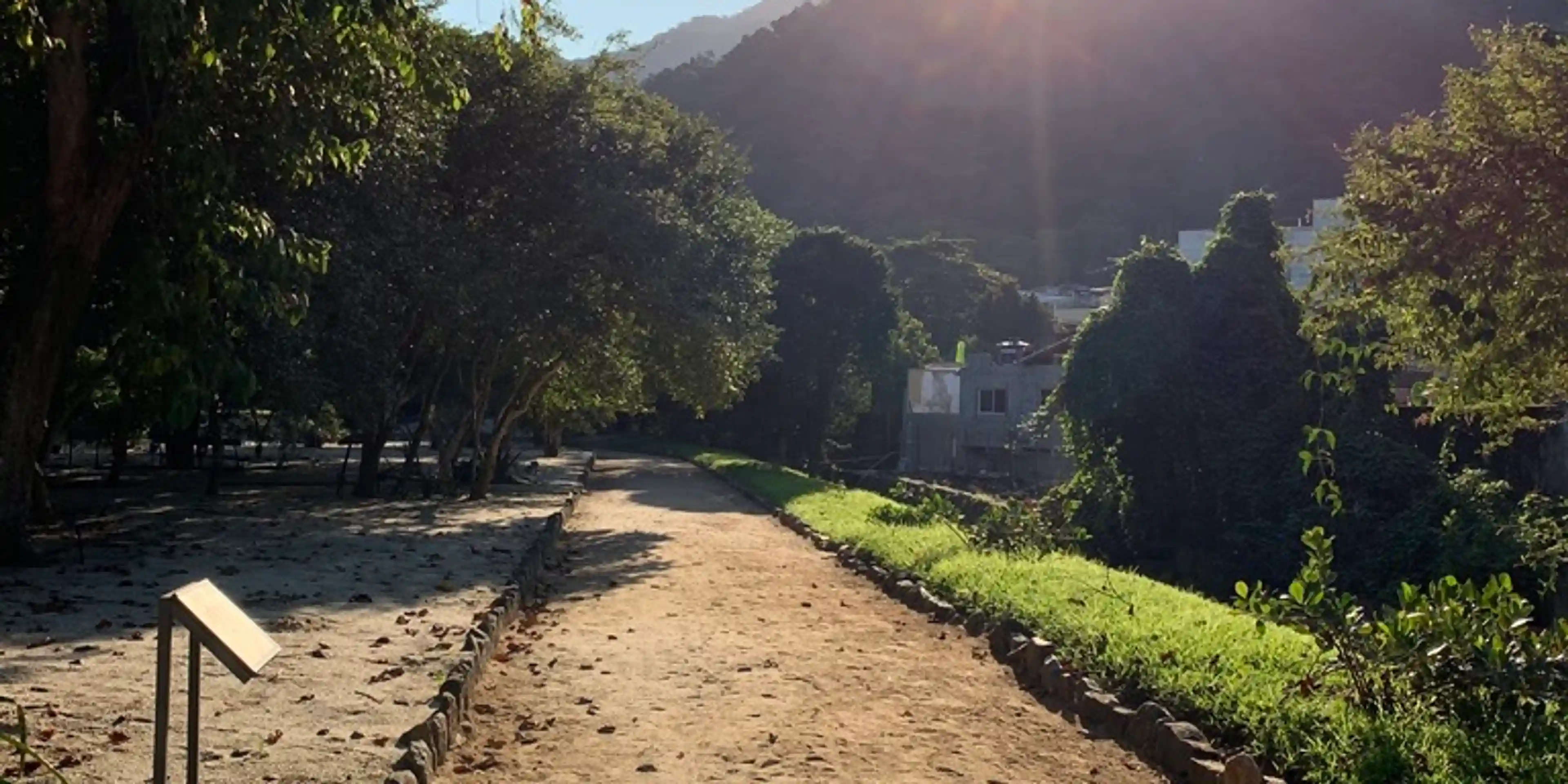 Dirt trail in the Jardim Botanico