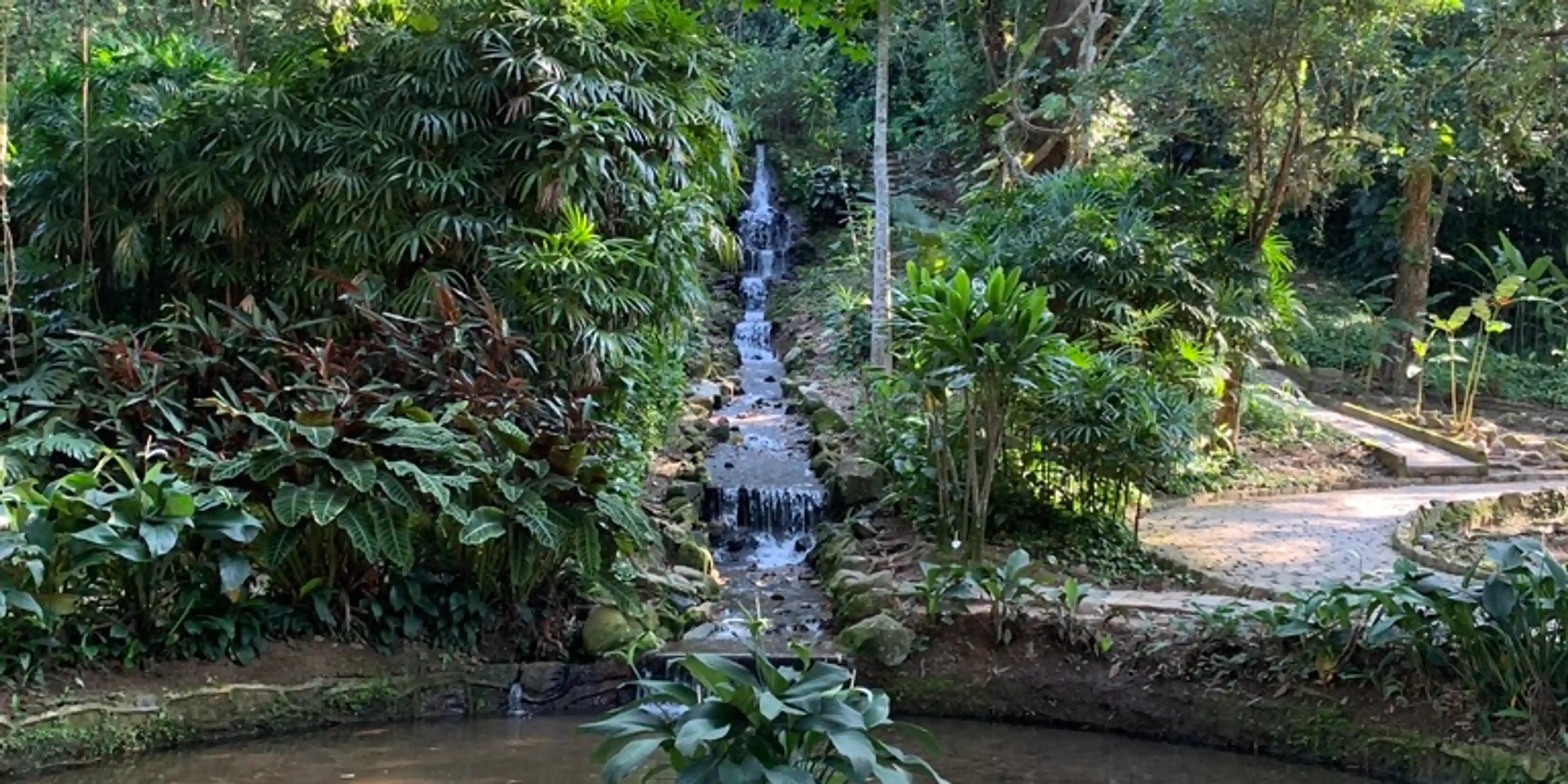 A fountain in Jardim Botânico/Botanical Garden