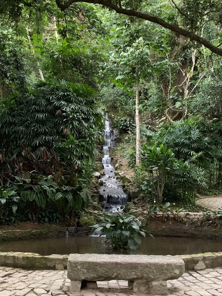 Jardim Botânico/Botanical Garden
