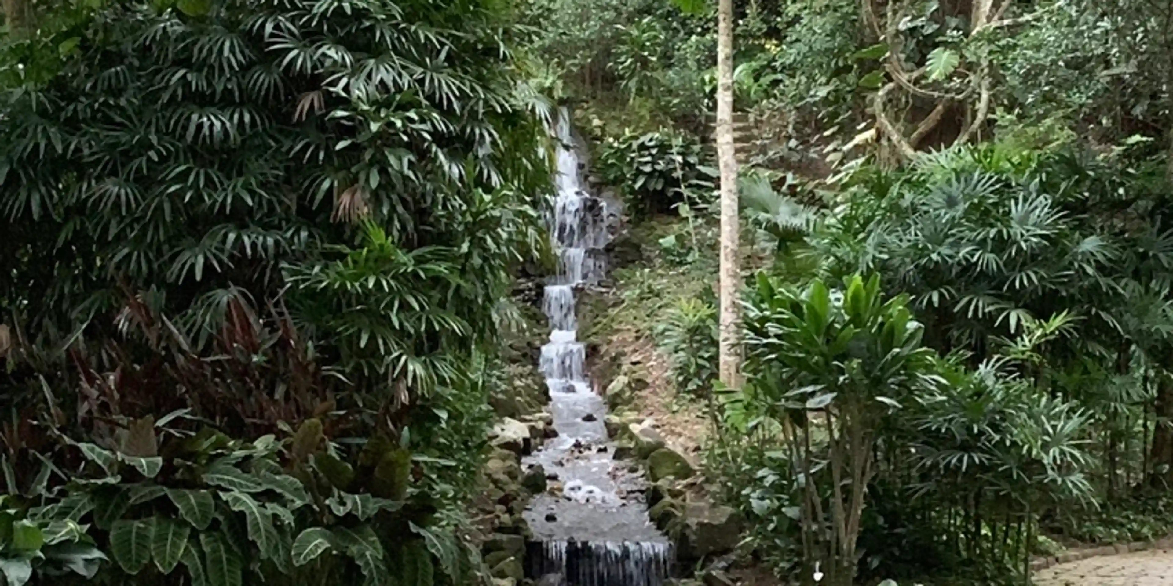 Jardim Botânico/Botanical Garden