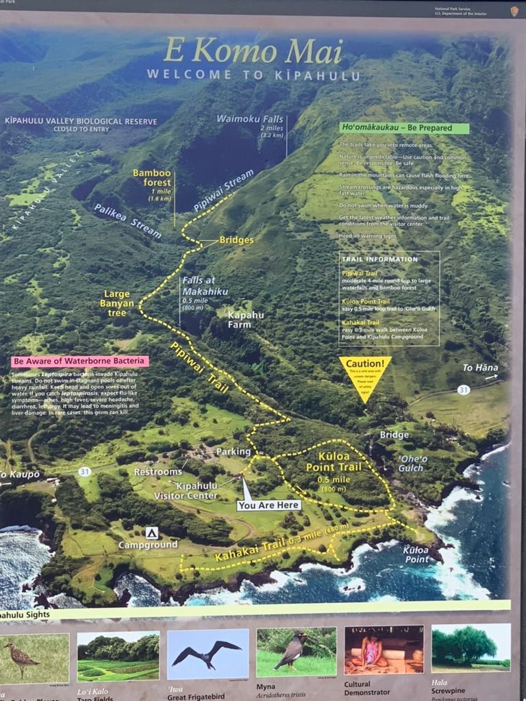 Kipahulu - Inside Haleakala National Park. At the end of the Road to Hana. 