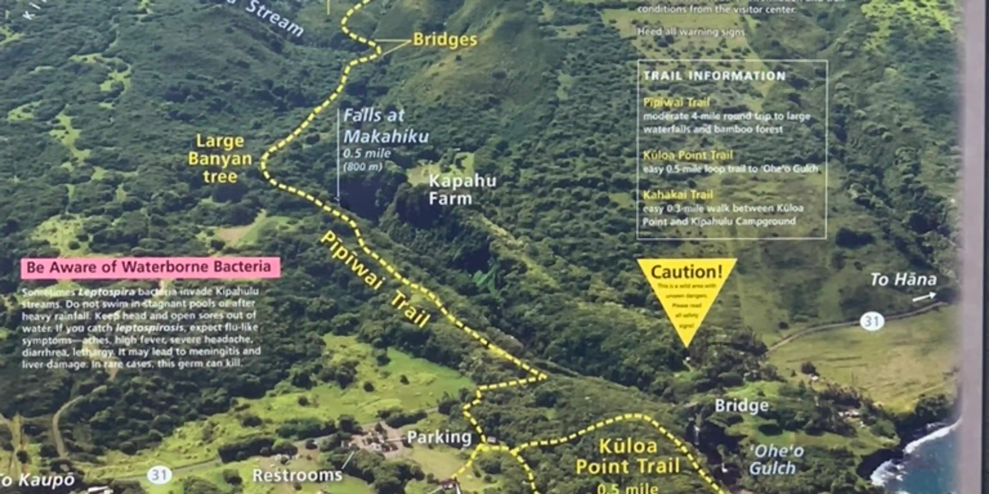 Kipahulu - Inside Haleakala National Park. At the end of the Road to Hana.