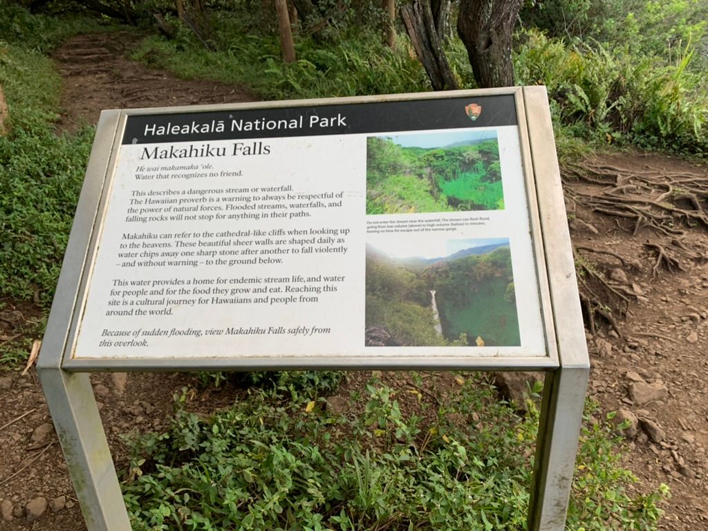 Hiked up to Makahiku Falls before heading back to Kihei