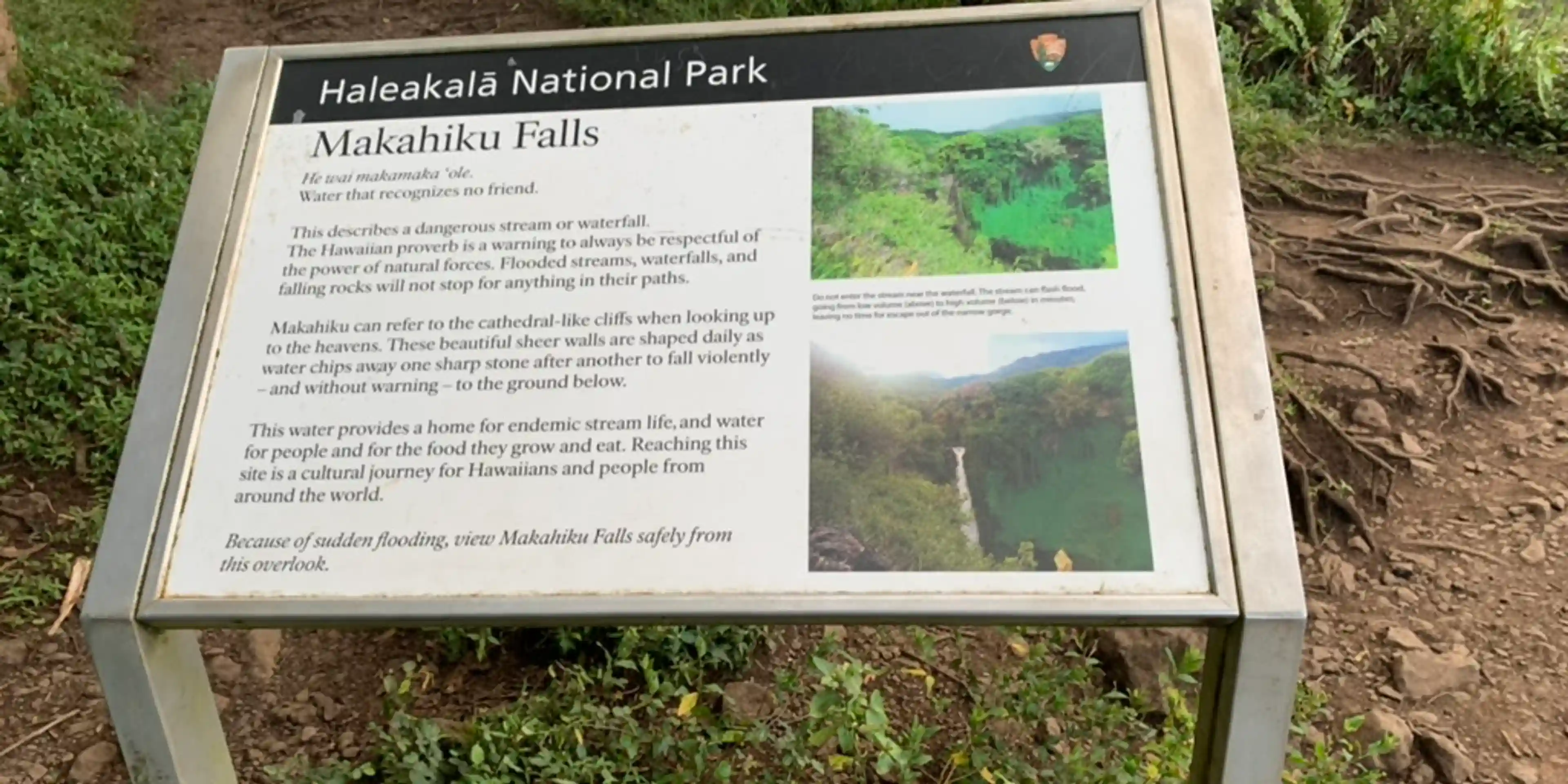 Hiked up to Makahiku Falls before heading back to Kihei