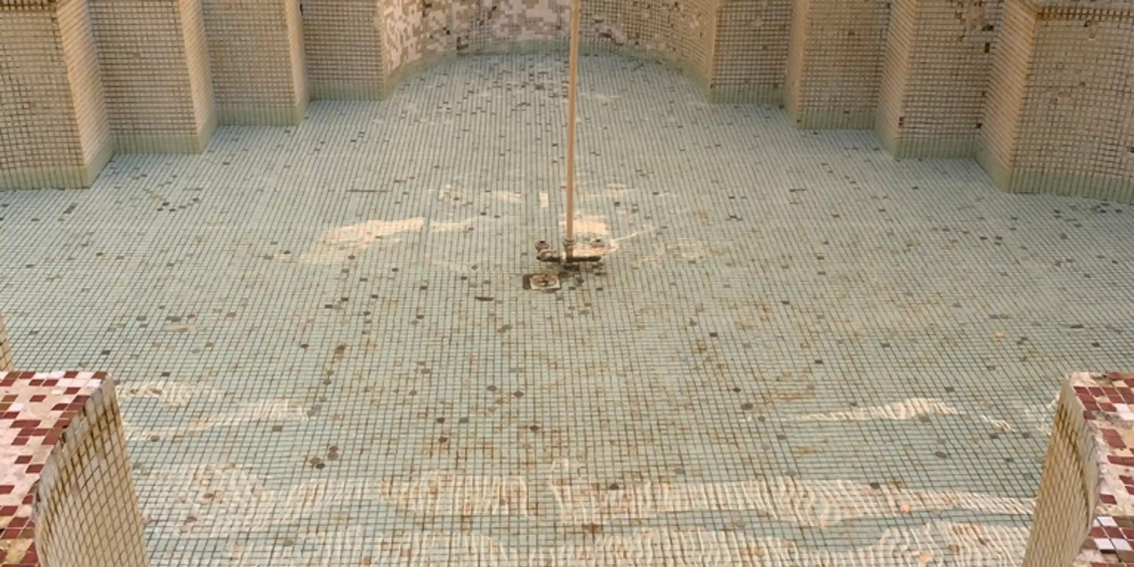 Wishing Pond - Jardim Botânico/Botanical Garden