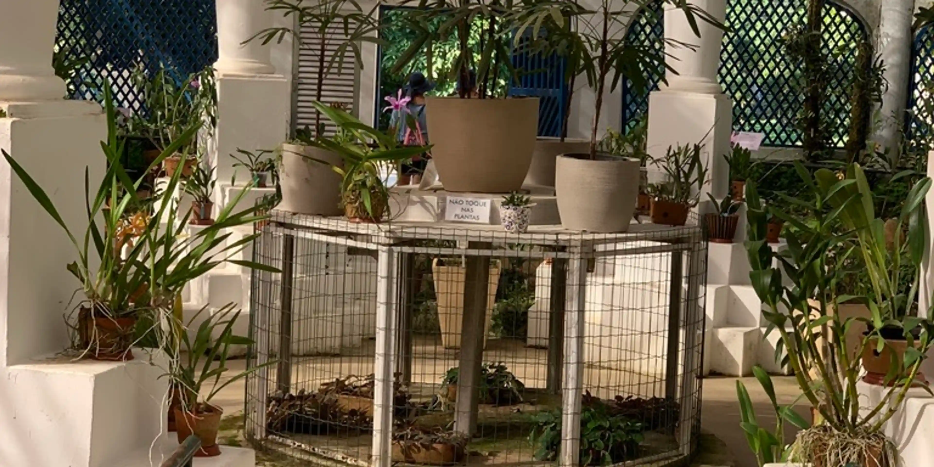 Spice Greenhouse - Jardim Botanico