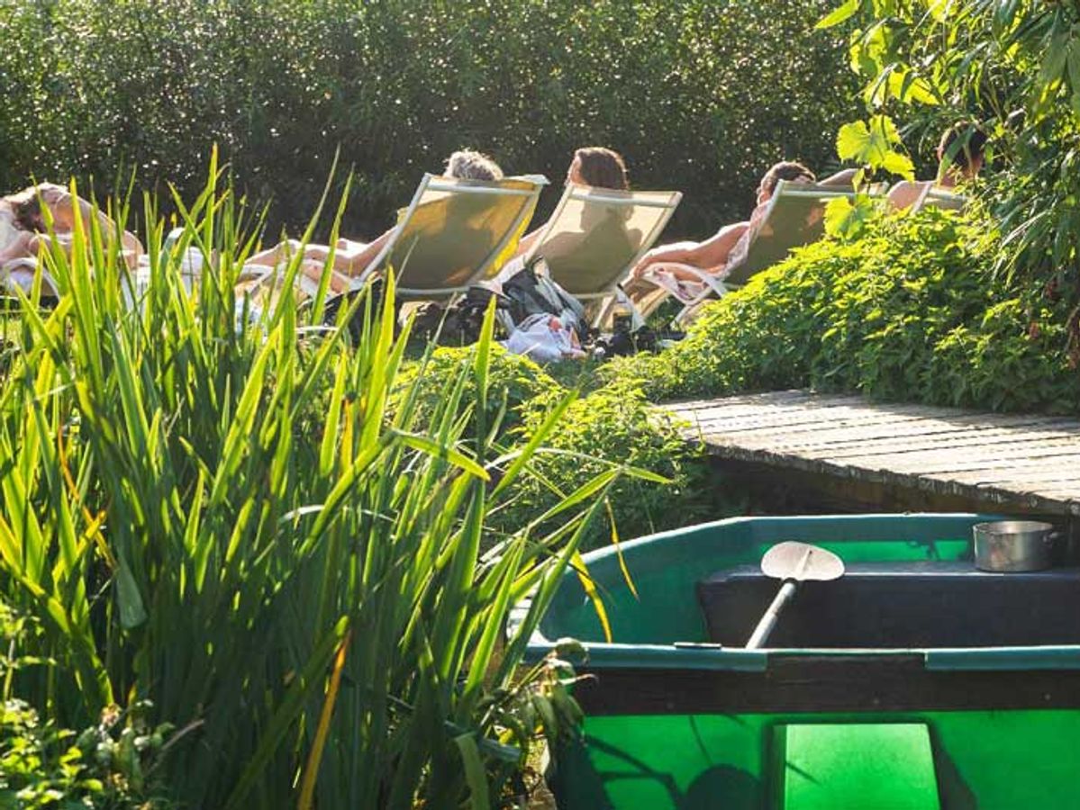 Het natuurlijke zwemmeer met ligstoelen en een houten vlonder tussen het riet
