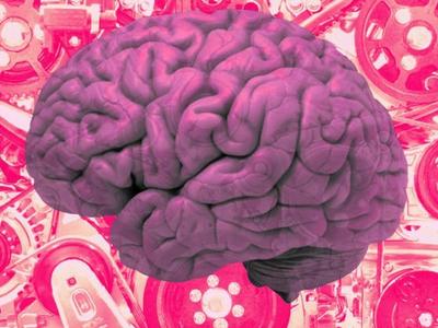 প্রোডাক্টিভিটি ও মাইন্ডসেট