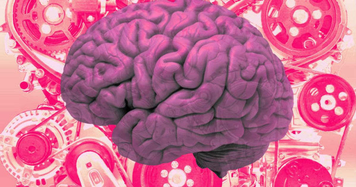 প্রোগ্রামিং শেখার শুরু: কোডিংয়ের প্রথম ধাপটি কীভাবে নেবেন?