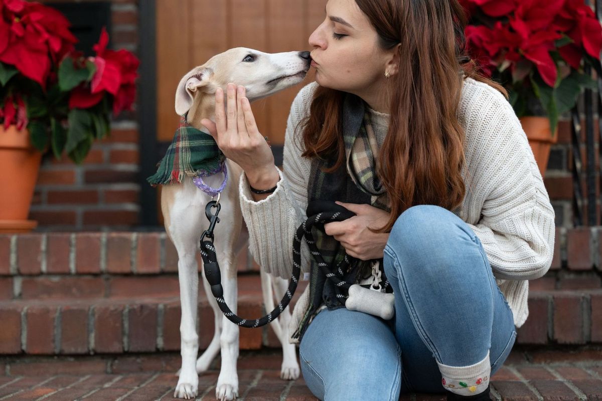 Client Spotlight: Leyanna & Penny — A Whippet Puppy’s First Love Letter