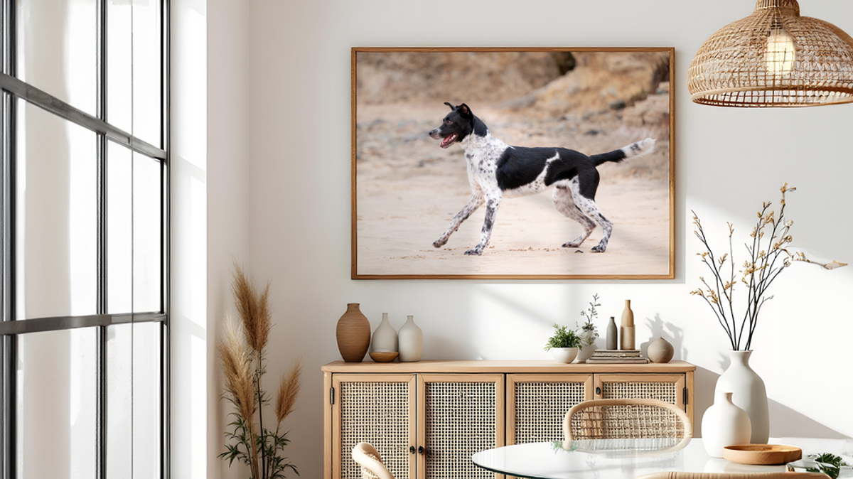 Why I Love Seeing Pets in Print