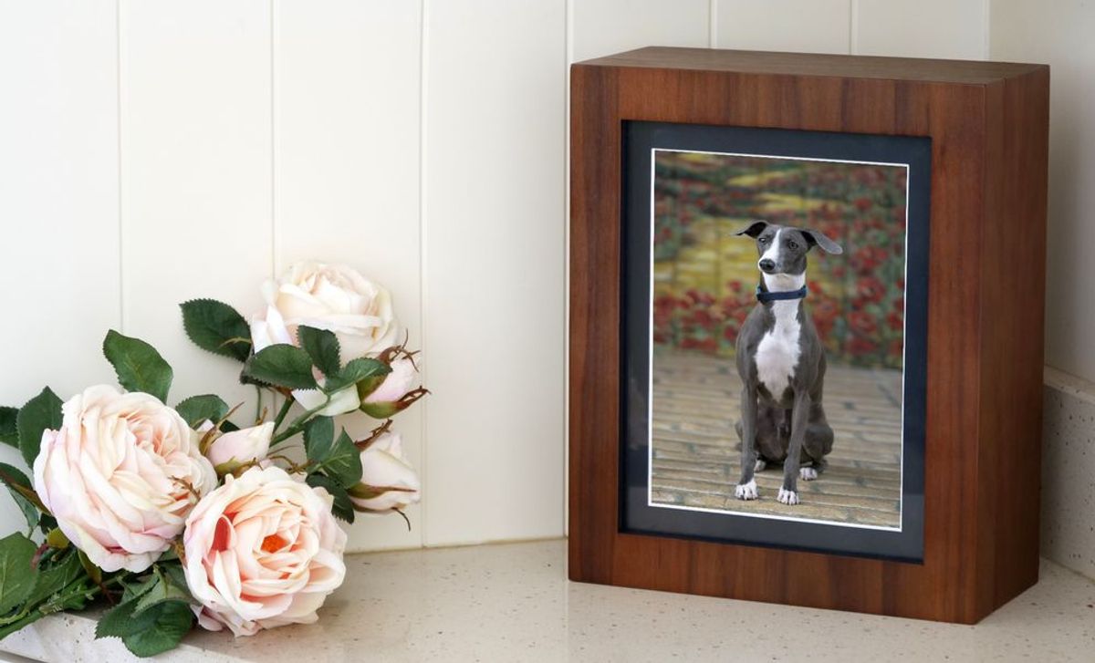 Gallery wall with framed dog photos and pink roses as decoration.