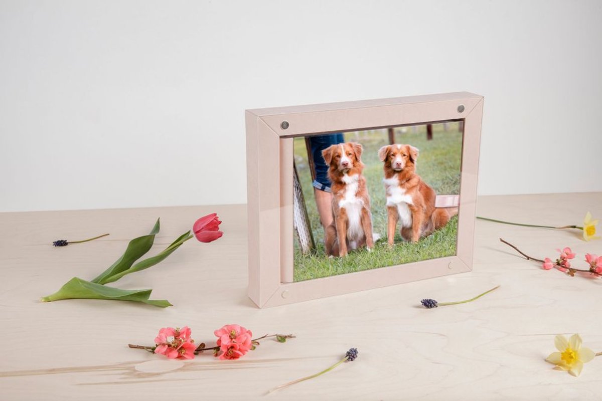 Why Albums Are the Perfect Way to Celebrate Your Dog's Story