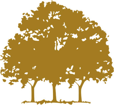 Canopy Growth Corporation