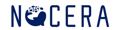 Nocera, Inc.