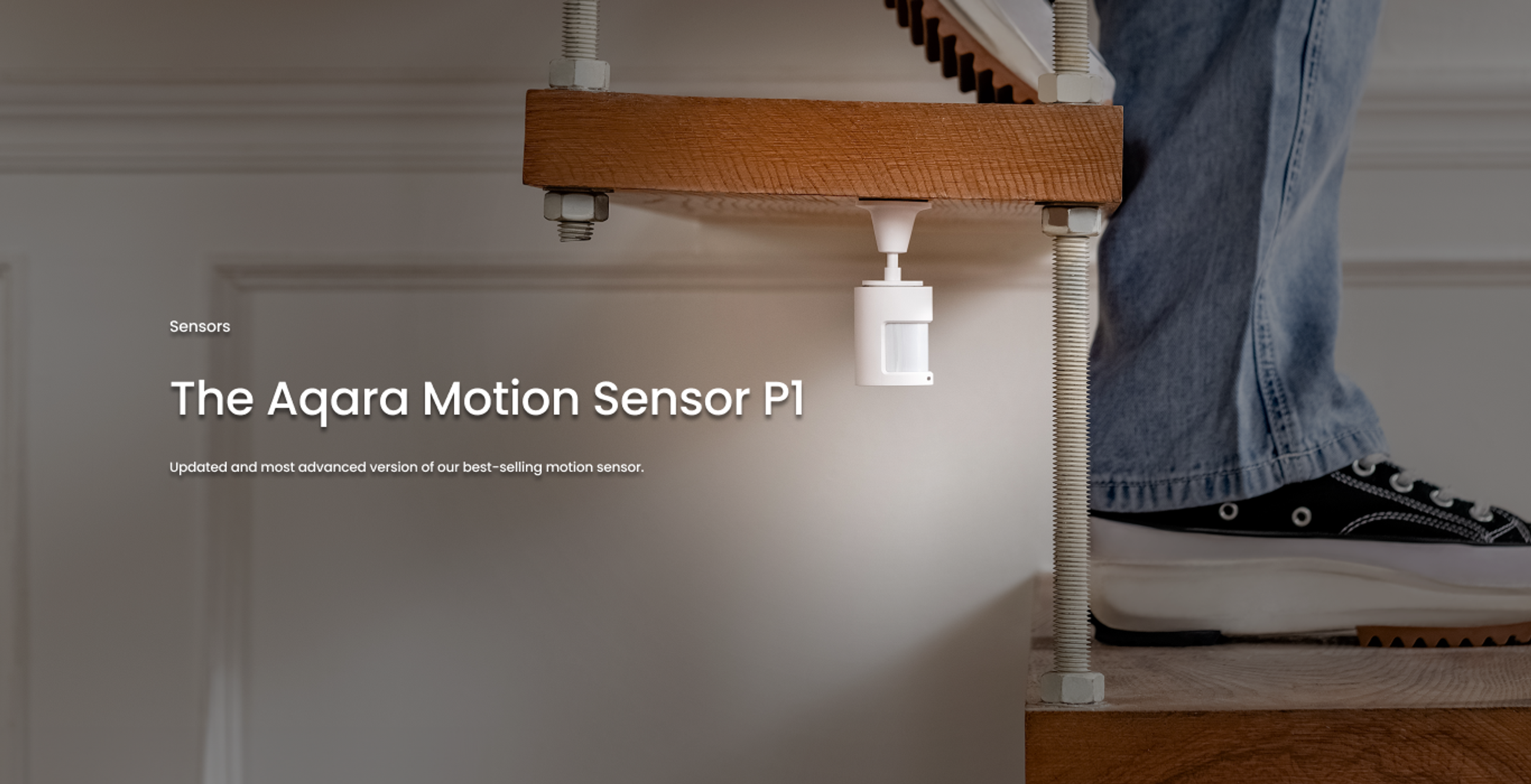 Motion Sensor P1