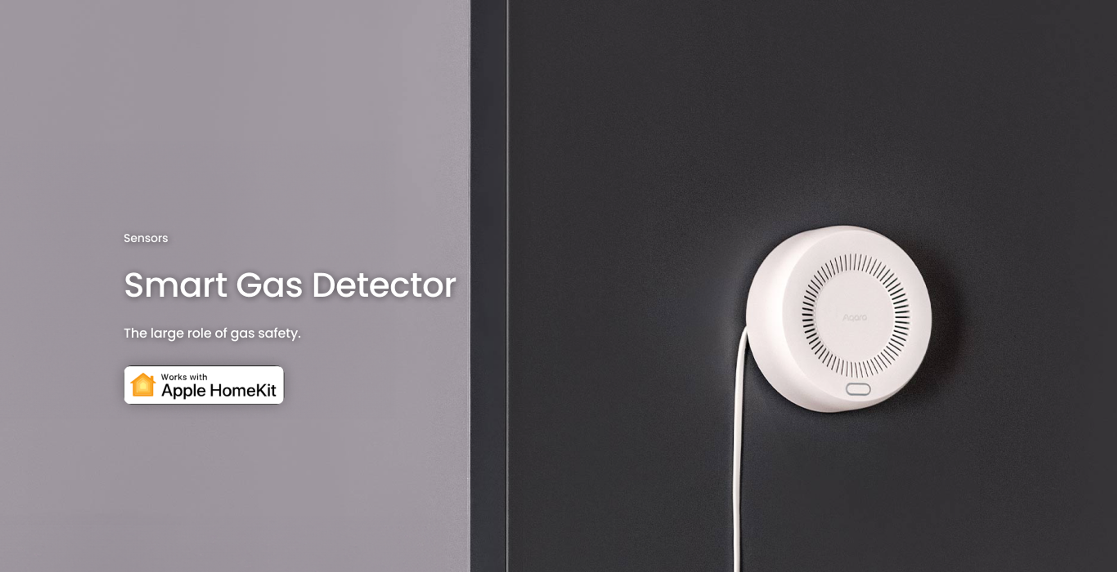 Gas Detector