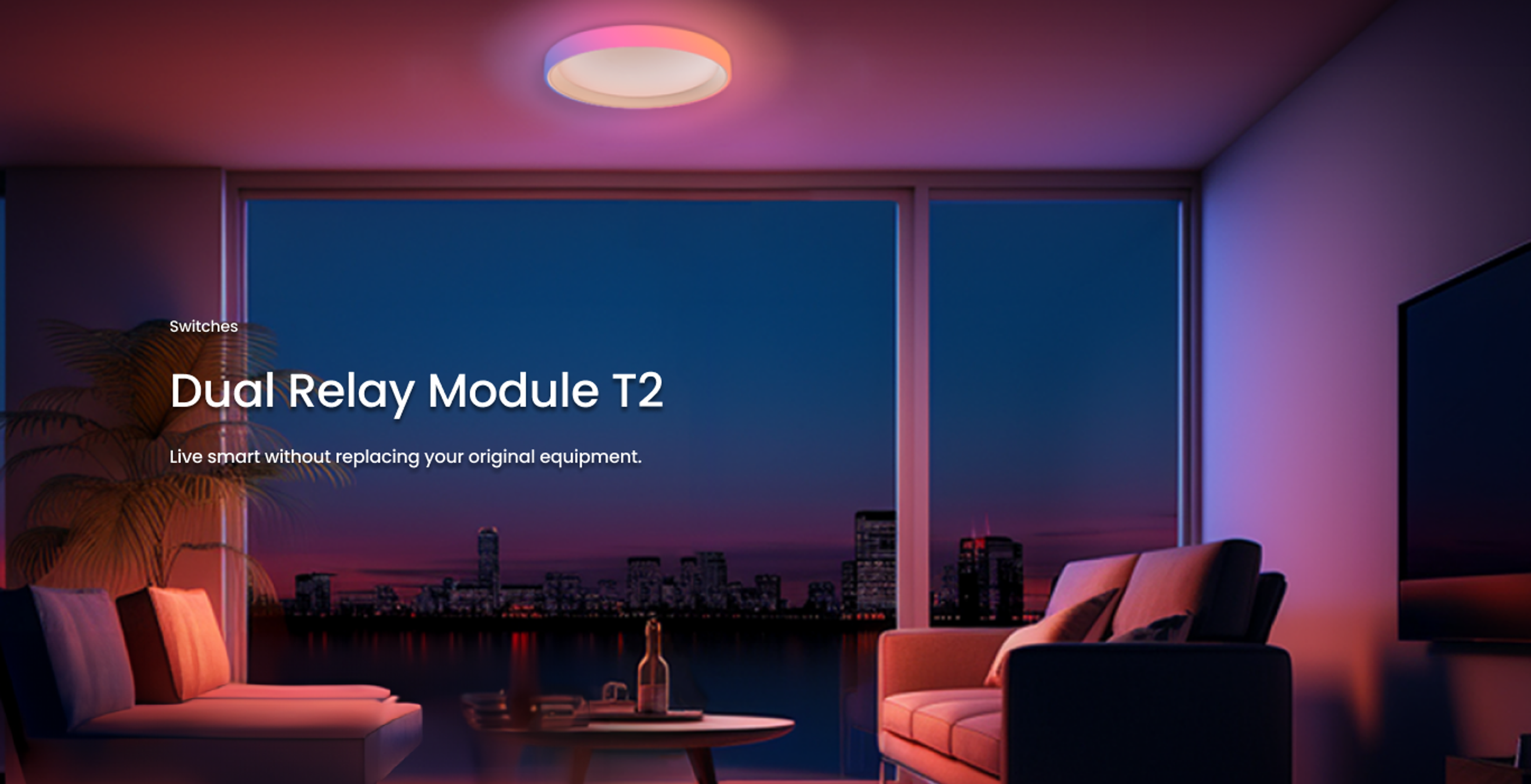 Dual Relay Module T2
