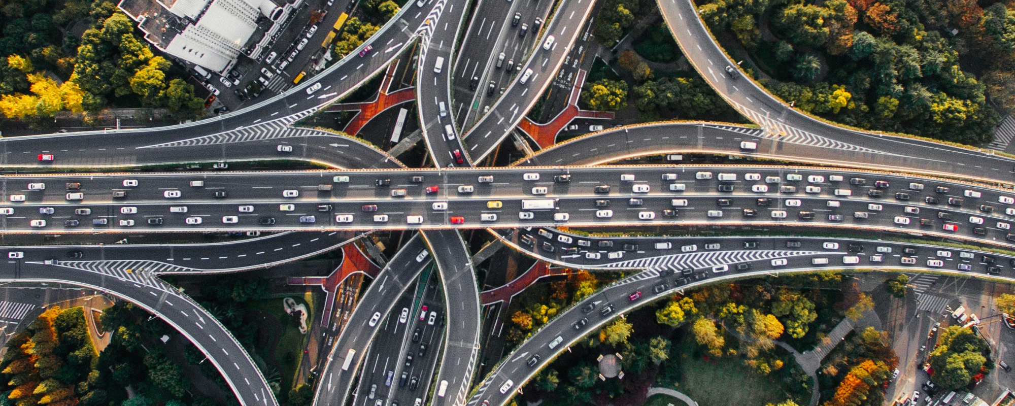 Registry of Motor Vehicles Virtual Assistant