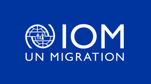 Migrants and misinformation: key themes in Nigeria, Bangladesh and Malaysia