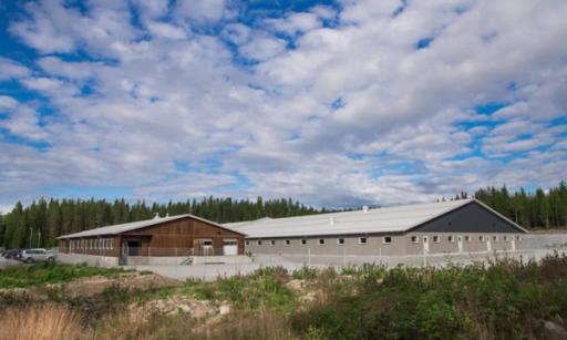 Klar for digitalisering. Med nytt og toppmoderne avlsanlegg ønsker Norsvin å digitalisere deler av produksjonsleddet sitt. Innsikten fikk de på et tilrettelagt program.