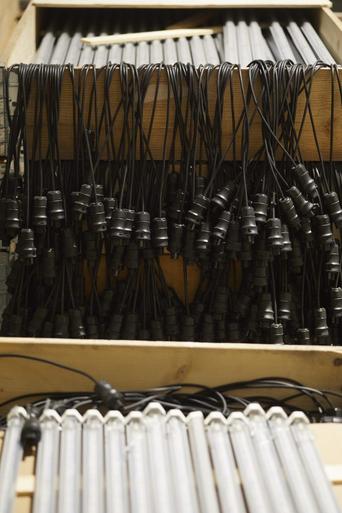 Foto: Ann Kristin Engebakken