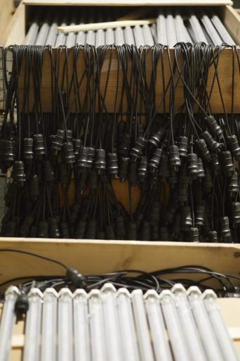 Foto: Ann Kristin Engebakken