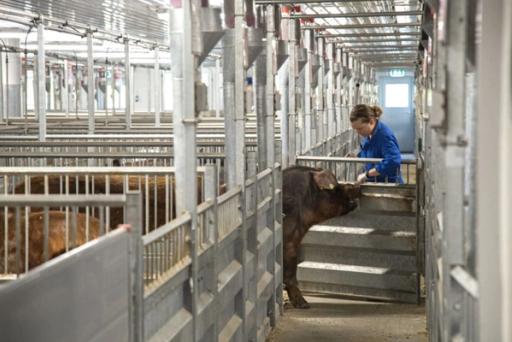 Fugleperspektiv. -Man går gjerne i et bransjespor uten å tenke på nytten vi kan ha av kompetansen som finnes i andre næringer, sier eksportsjef Elisabeth Nordby.