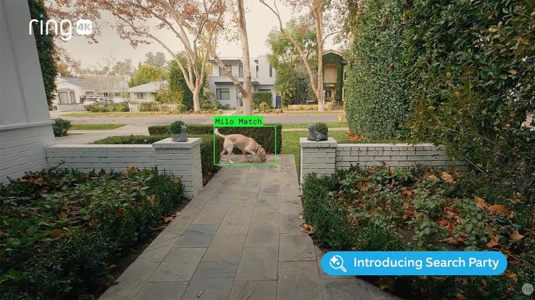 Faksimile: Ring / Youtube