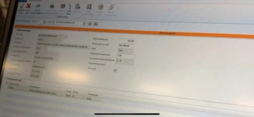 Her ser vi at programvaren har gitt ut en oransje fargekode. Det betyr at det må sjekkes litt ekstra nøye. Foto: Bama