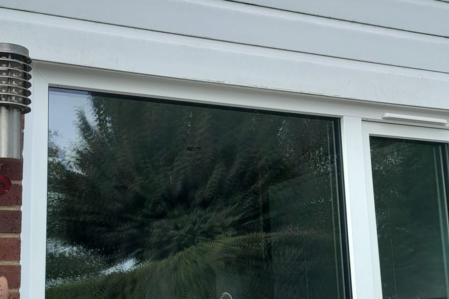 Window replacement project in Leicester, blending style with efficiency