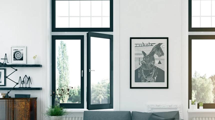 Dark-framed windows in a living room, with one casement standing open
