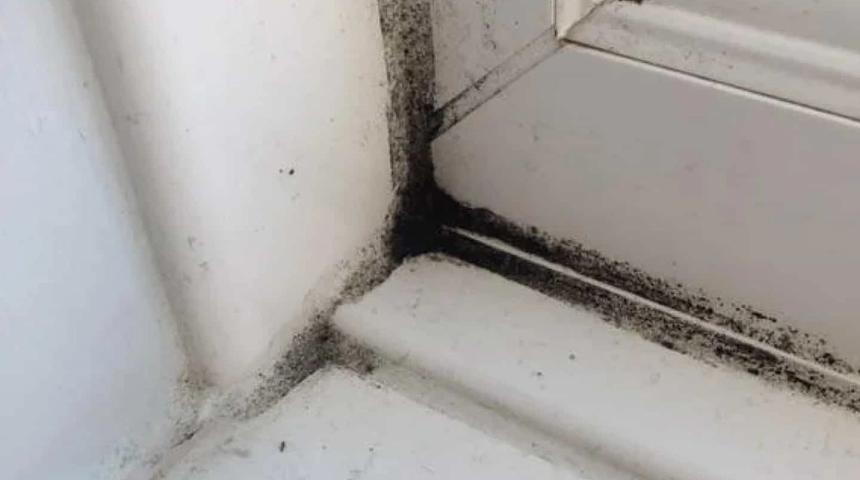 Black mould in the corner where a white window frame meets the reveal