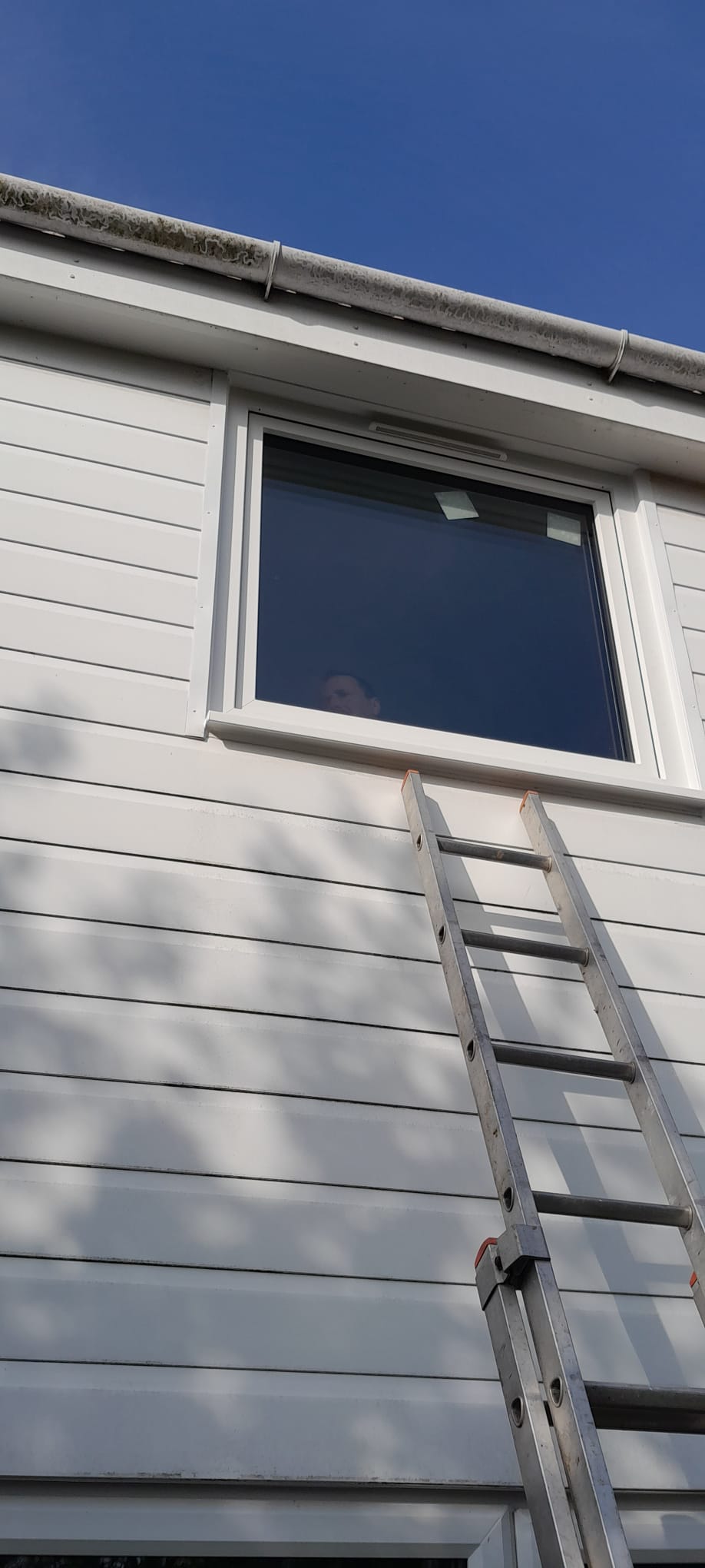 Window replacement project in Leicester, blending style with efficiency