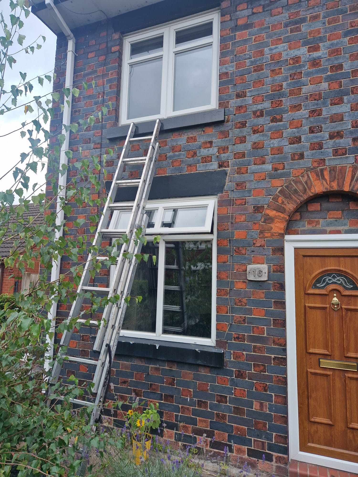 Brighter Horizons: Enhancing Audley Residences with New Windows and Doors