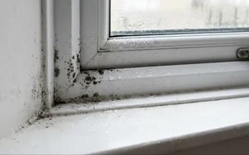 Mould on window sills: what to check first