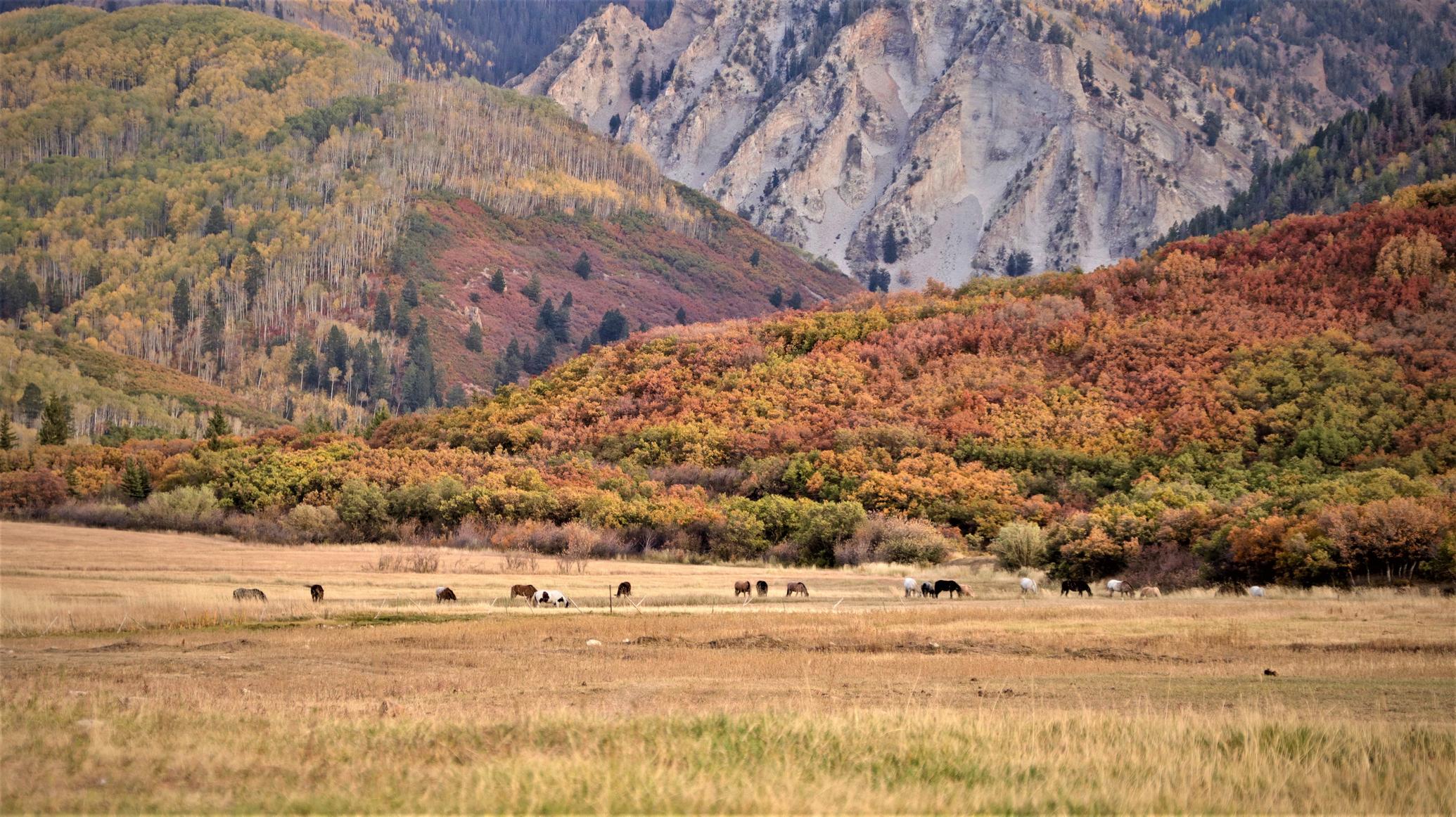 Colorado Ranch — Feldman Architecture