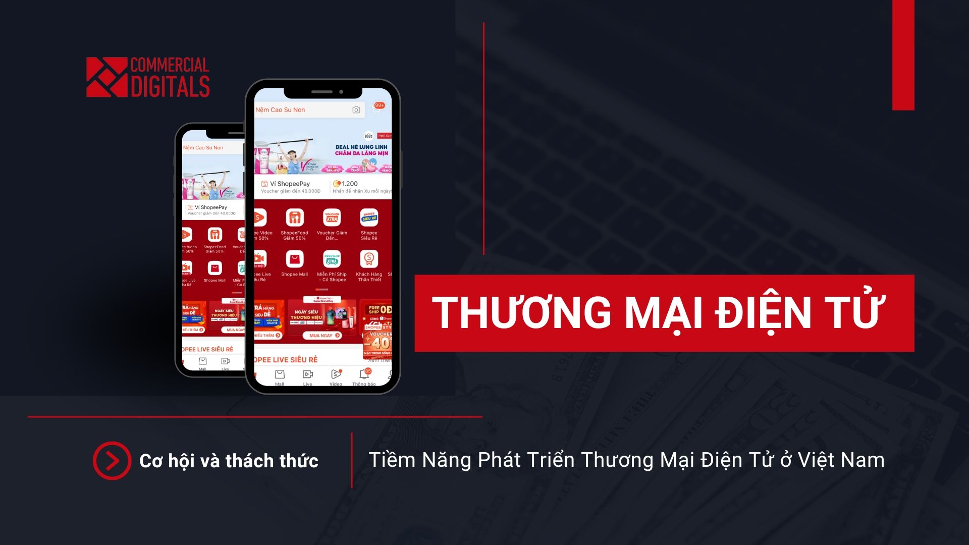 Tiềm Năng Phát Triển Thương Mại Điện Tử ở Việt Nam: Cơ Hội và Thách Thức